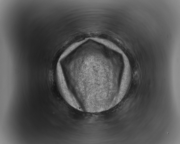 X0000099980772200806131358