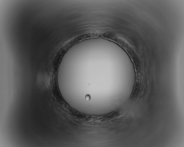 X0000099980773200806131358