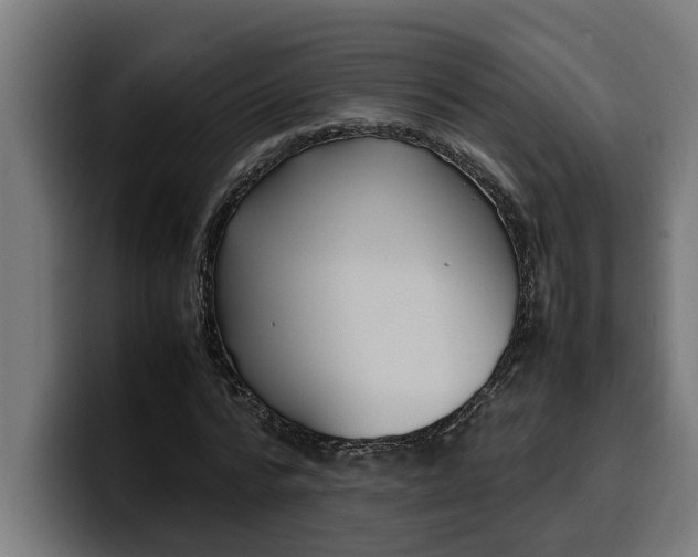 X0000099980776200806131358