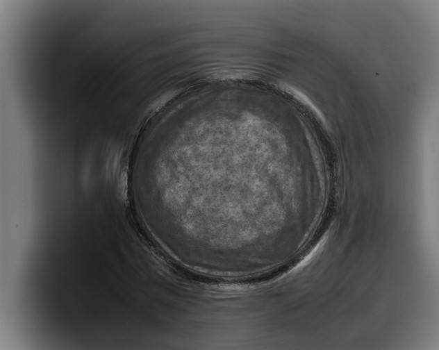 X0000099980777200806131358