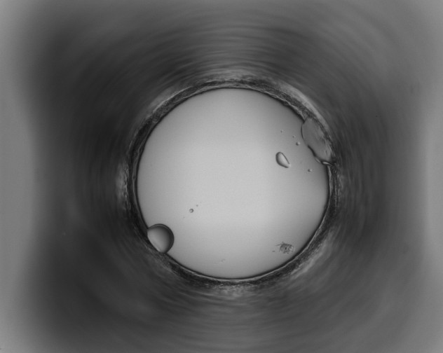 X0000099980778200806131358