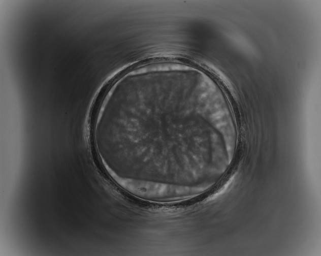 X0000099980779200806131358