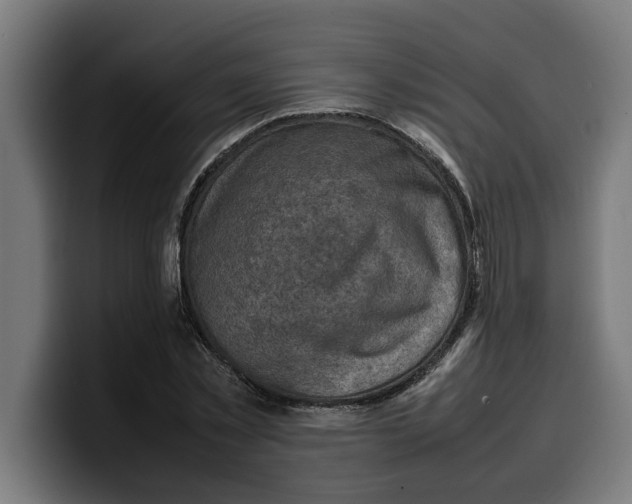 X0000099980781200806131358