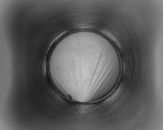 X0000099980782200806131358