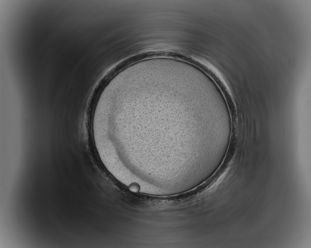 X0000099980783200806131358