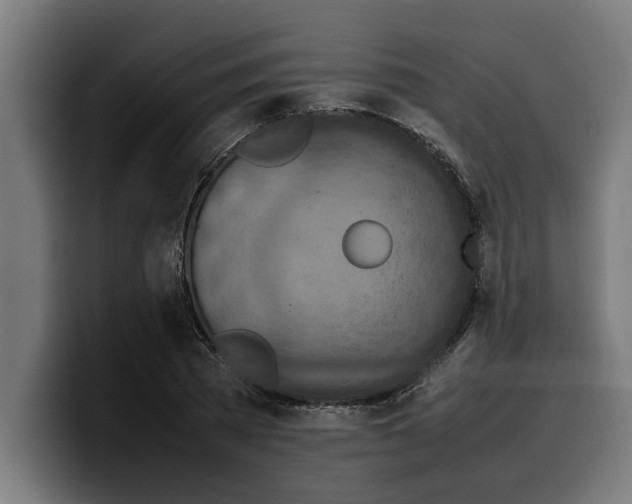 X0000099980785200806131358