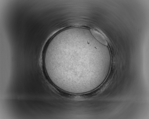 X0000099980787200806131358