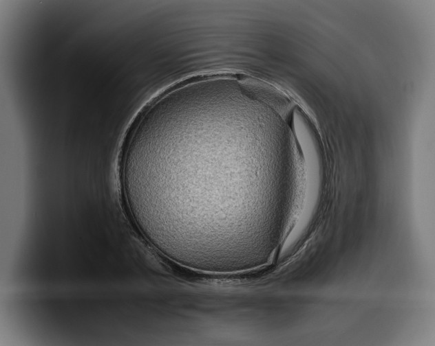 X0000099980789200806131358