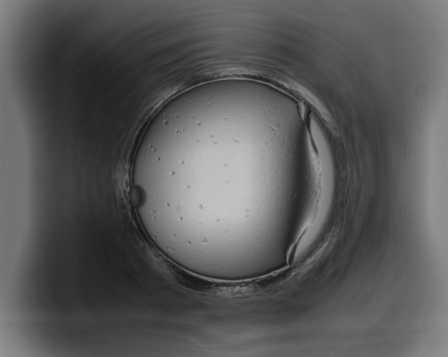 X0000099980793200806131358