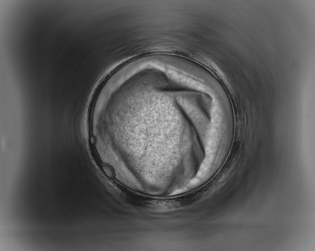 X0000099980795200806131358