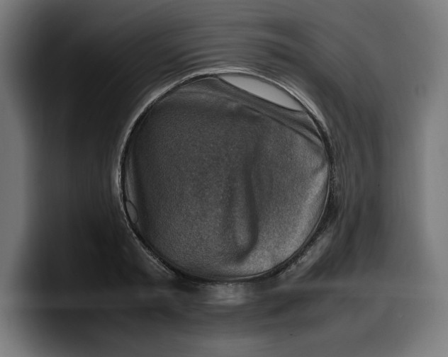 X0000099980797200806131358