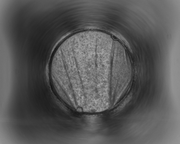 X0000099980798200806131358