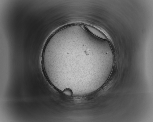 X0000099980799200806131358