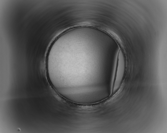 X0000099980800200806131358