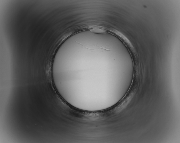 X0000099980801200806131358