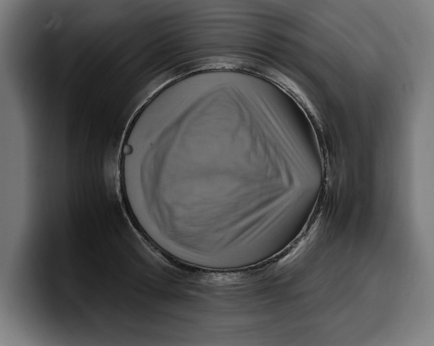 X0000099980802200806131358