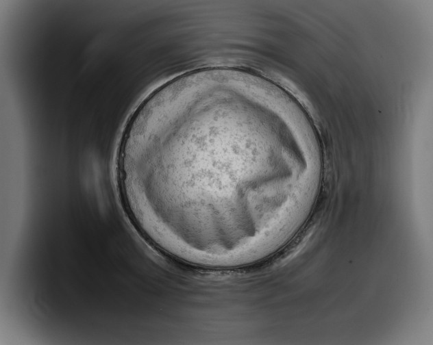 X0000099980803200806131358