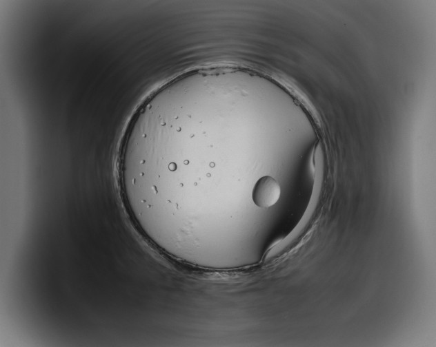 X0000099980805200806131358