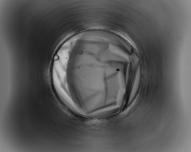 X0000099980806200806131358