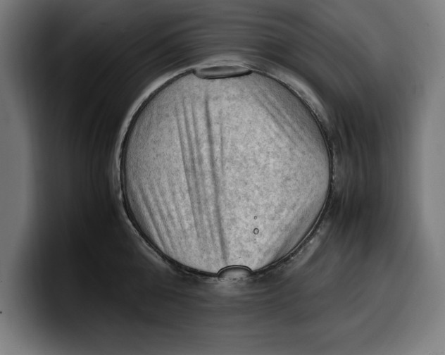 X0000099980808200806131358