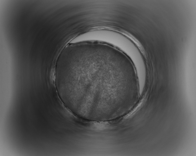 X0000099980809200806131358