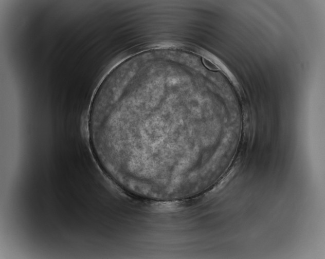 X0000099980810200806131358