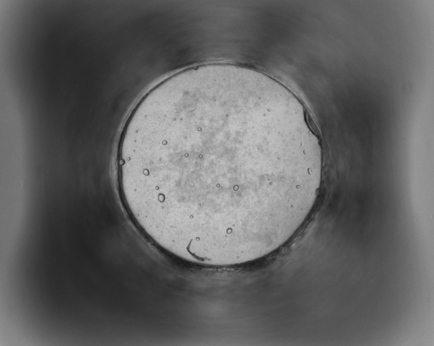 X0000099980811200806131358