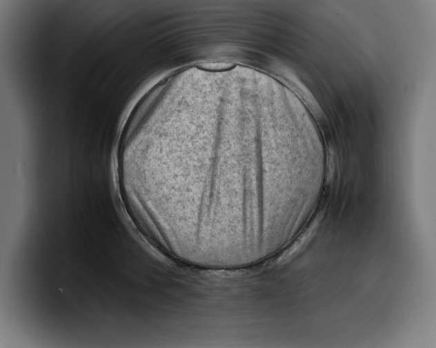 X0000099980812200806131358