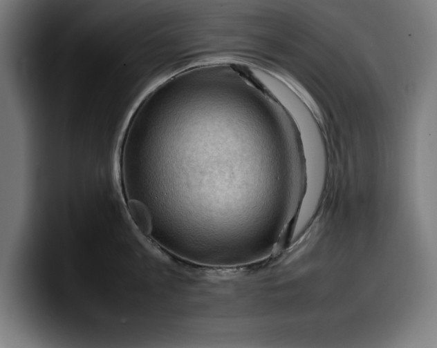 X0000099980813200806131358