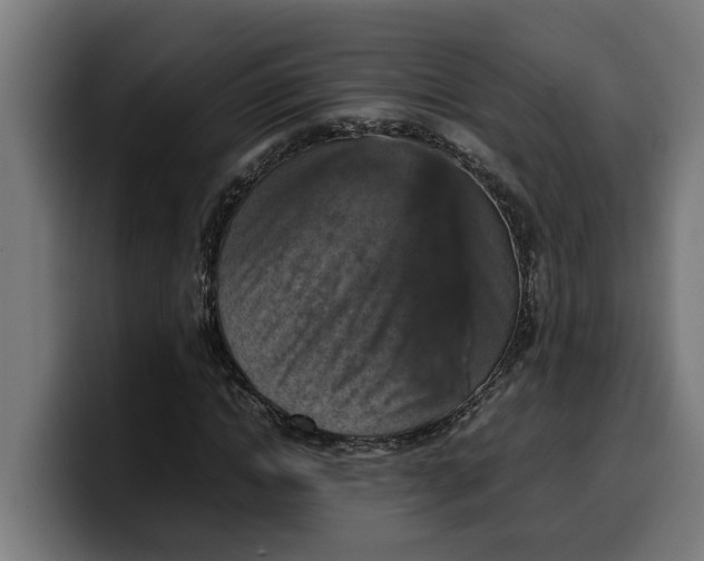 X0000099980822200806131357