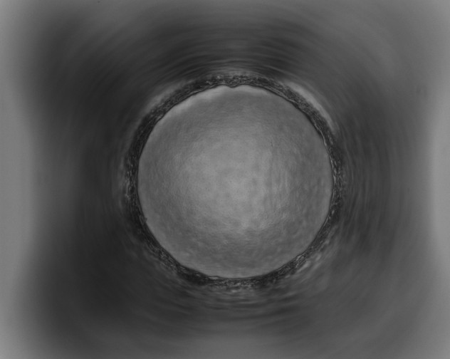 X0000099980823200806131357