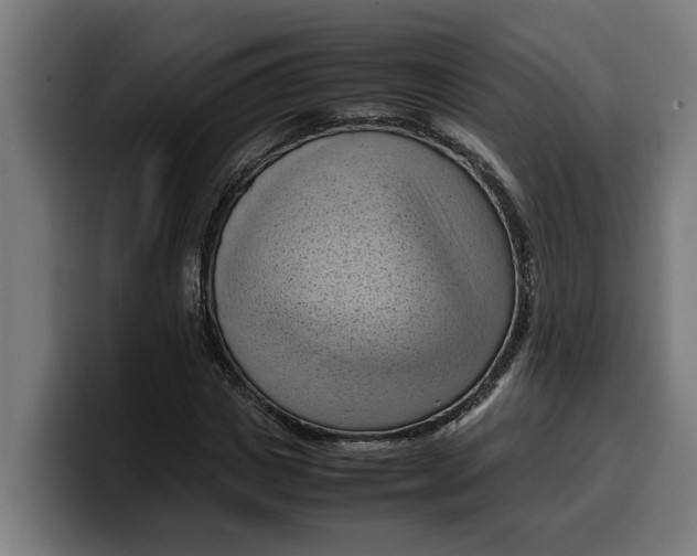 X0000099980825200806131357