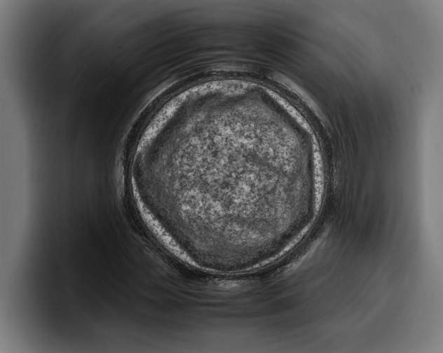 X0000099980829200806131357