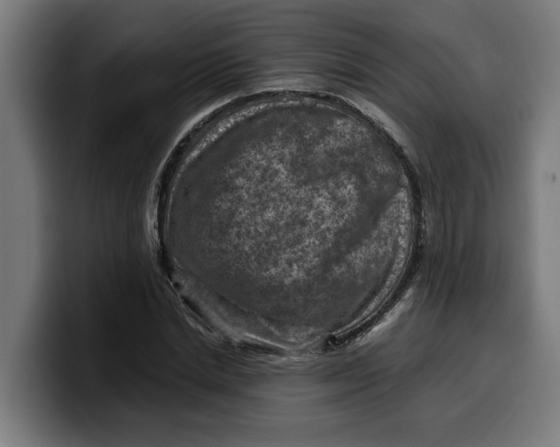 X0000099980830200806131357