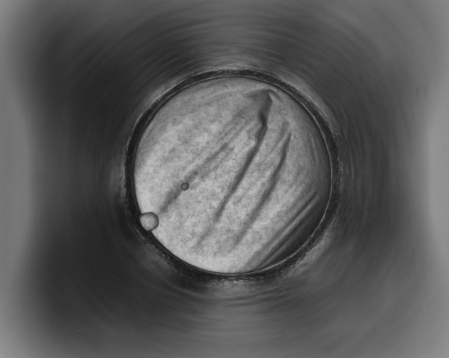 X0000099980834200806131357