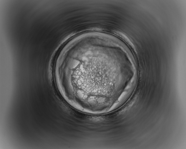 X0000099980835200806131357