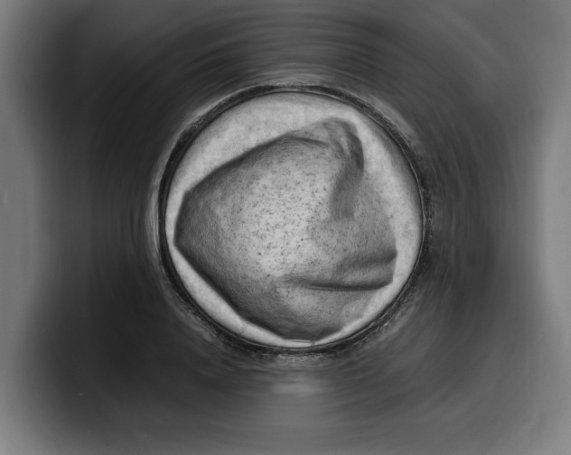 X0000099980840200806131357