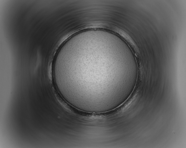 X0000099980842200806131357