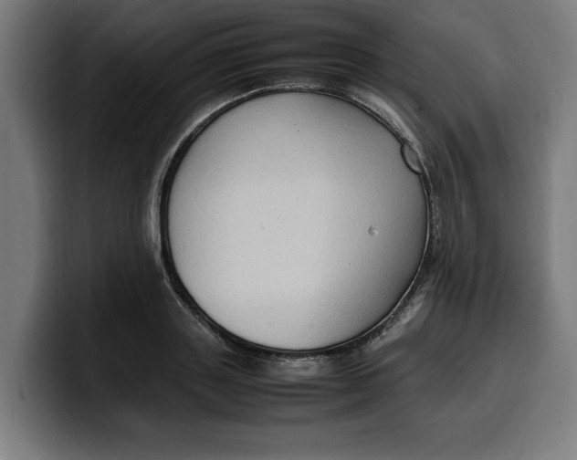 X0000099980843200806131357