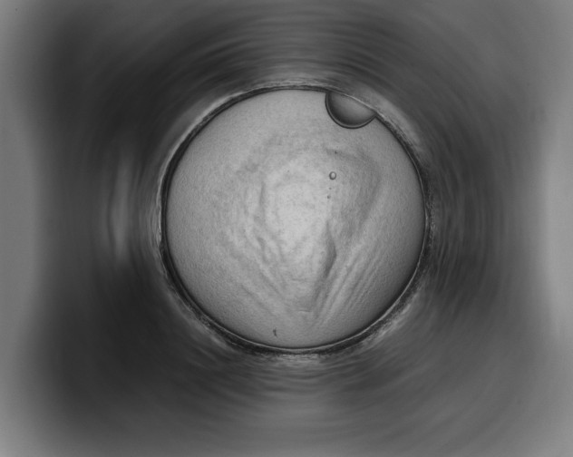 X0000099980844200806131357