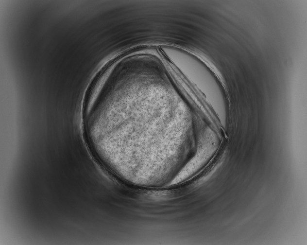 X0000099980845200806131357