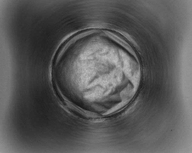 X0000099980846200806131357