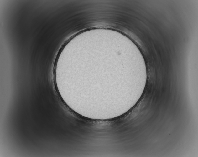 X0000099980848200806131357