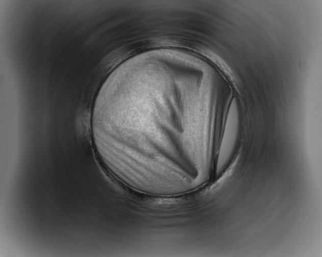 X0000099980849200806131357