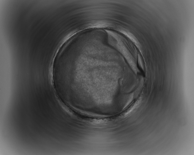 X0000099980850200806131357