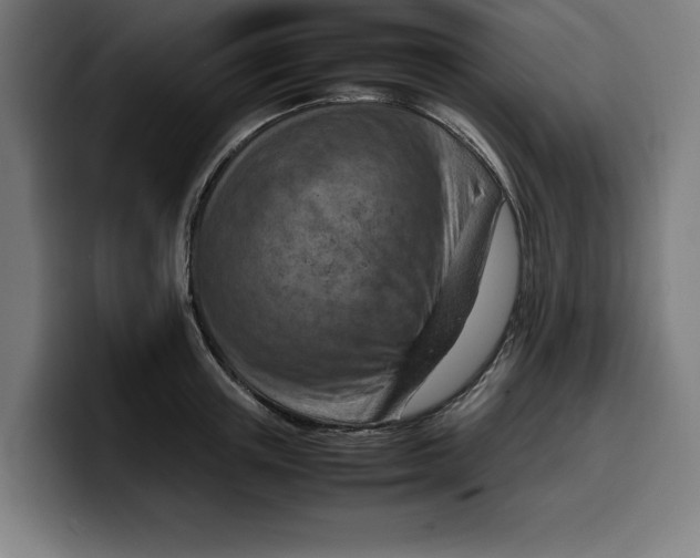 X0000099980851200806131357