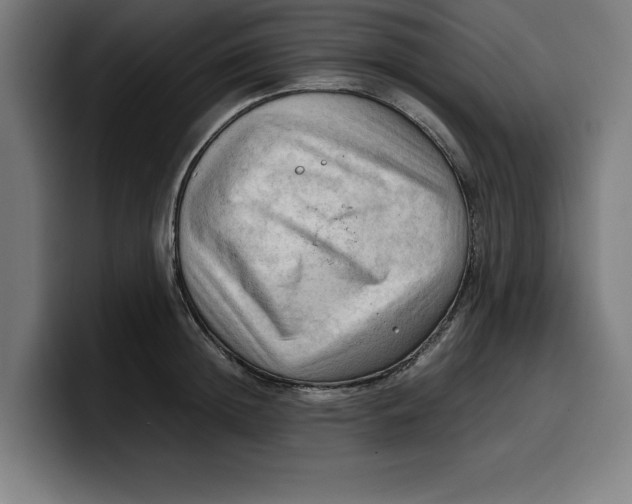 X0000099980852200806131357