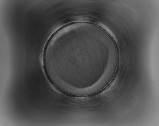 X0000099980853200806131357