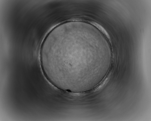 X0000099980855200806131357