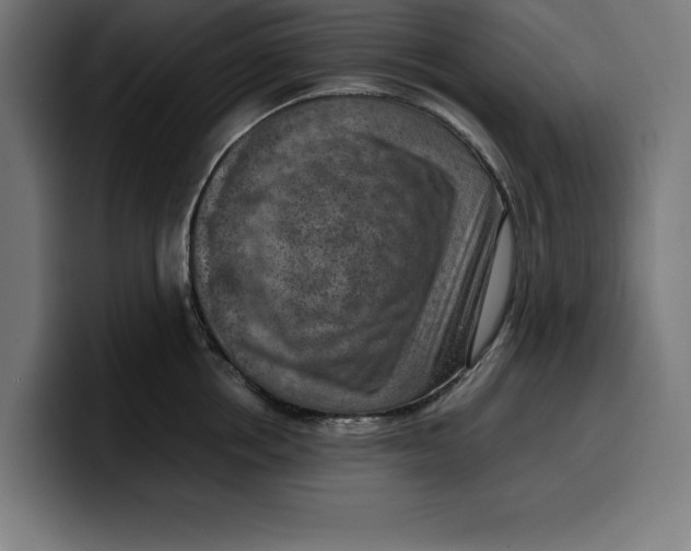 X0000099980858200806131358